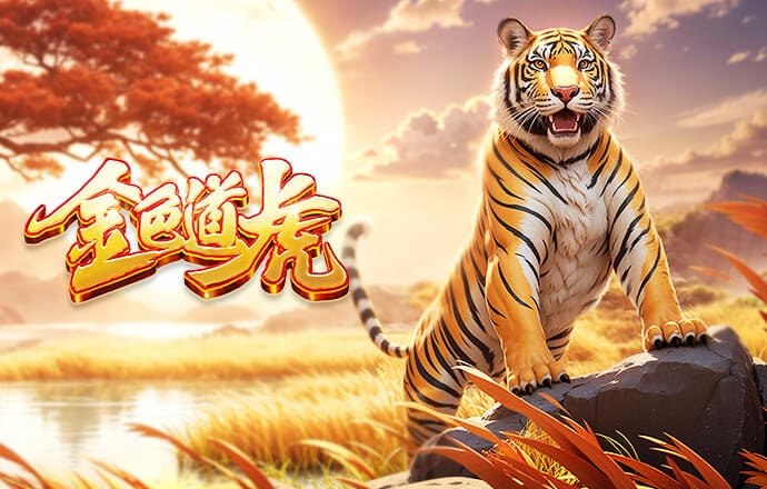 指向性明显？黄健翔：全世界没有哪个队 号称必须坚持只打541